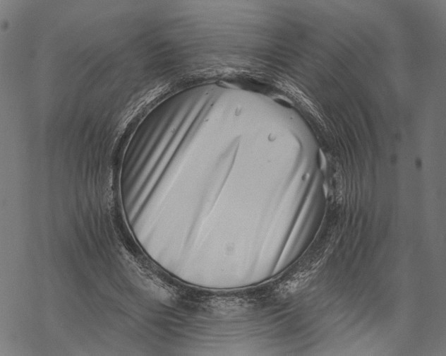 X0000068830490200605261619