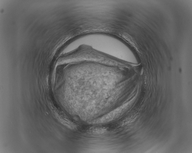 X0000068830491200605261619