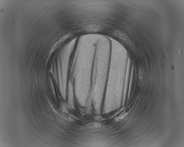 X0000068830492200605261619