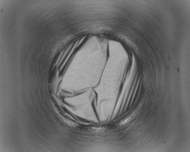 X0000068830493200605261619