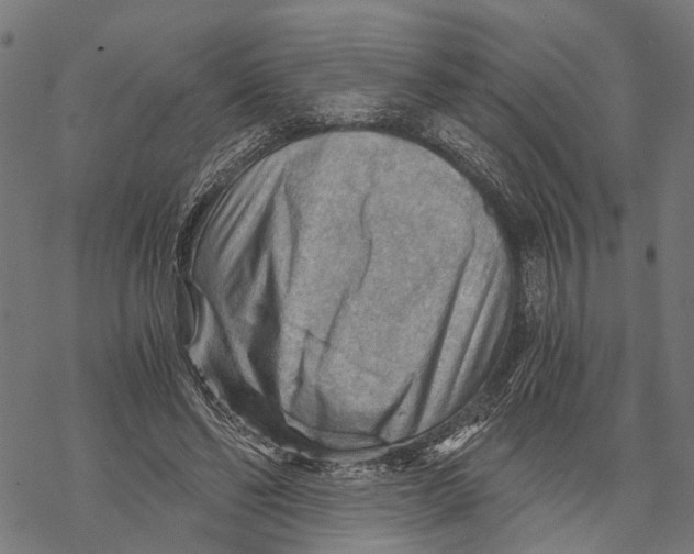 X0000068830494200605261619