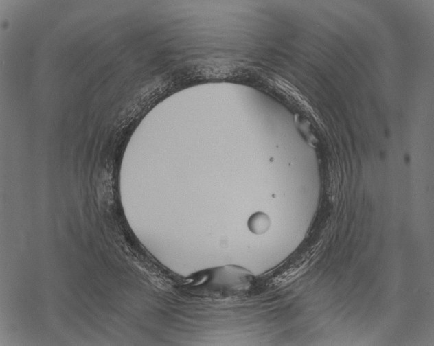 X0000068830497200605261619