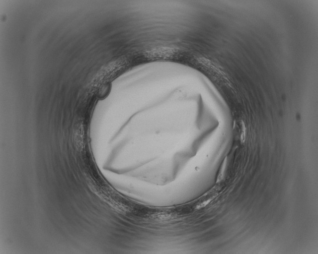 X0000068830498200605261619