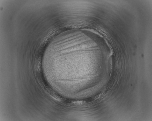 X0000068830499200605261619