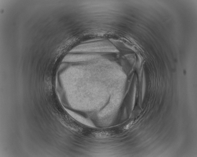 X0000068830500200605261619