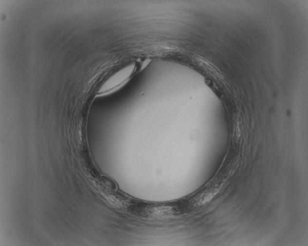 X0000068830501200605261619