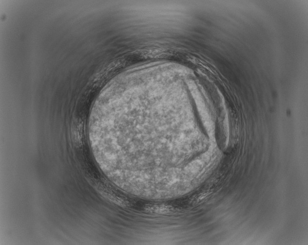 X0000068830503200605261619