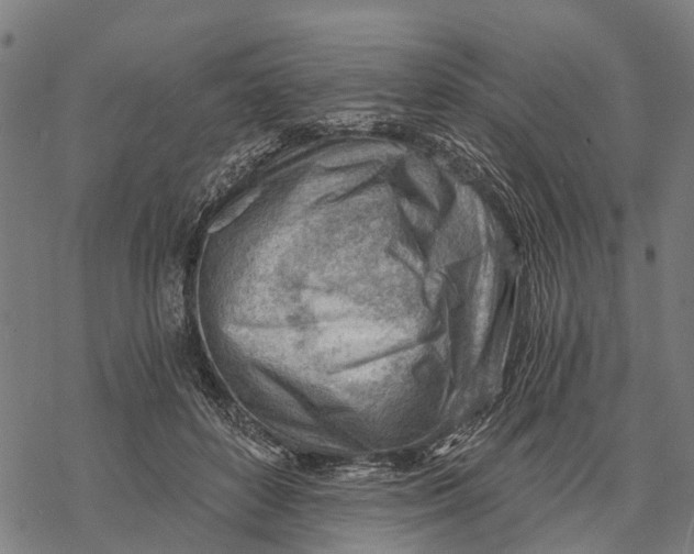 X0000068830504200605261619