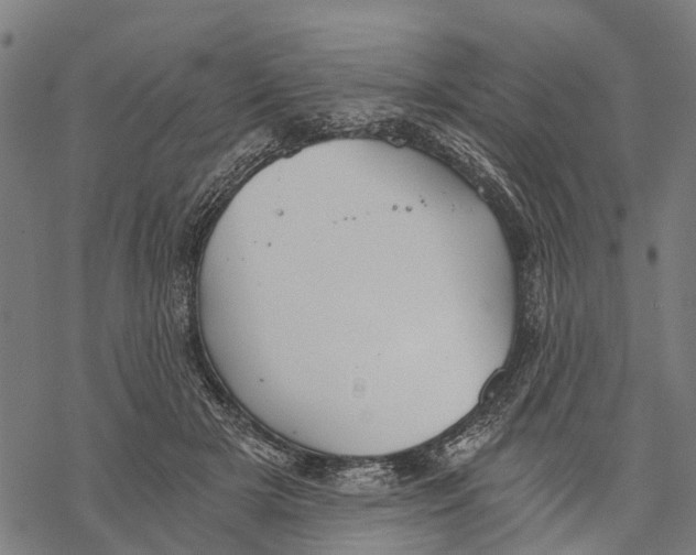 X0000068830505200605261619