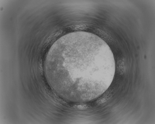 X0000068830506200605261619