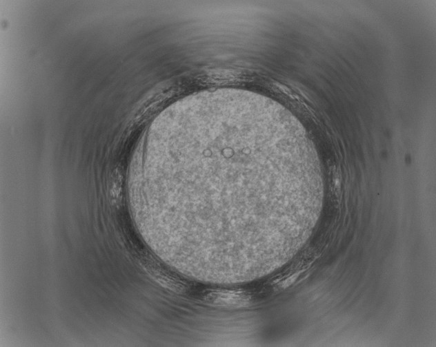 X0000068830507200605261619