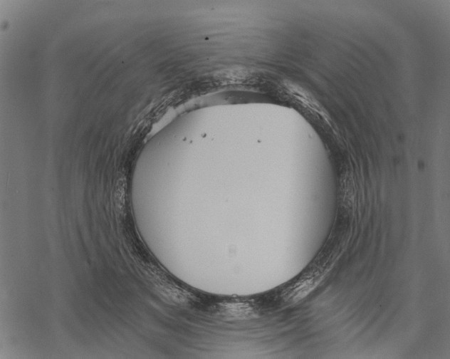 X0000068830509200605261619