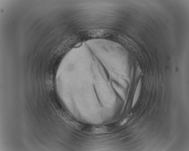 X0000068830510200605261619