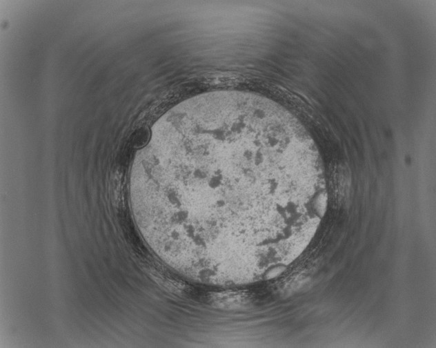 X0000068830511200605261619