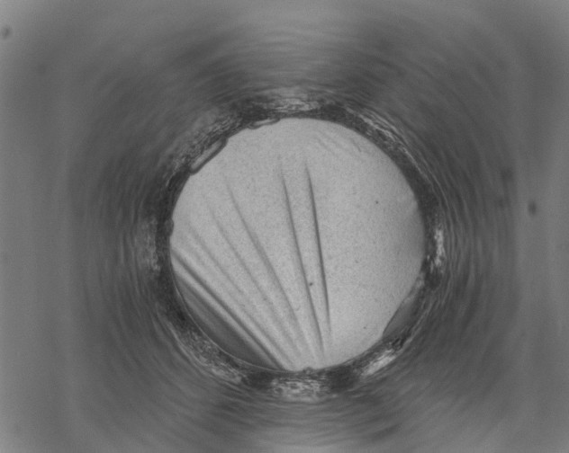 X0000068830512200605261619