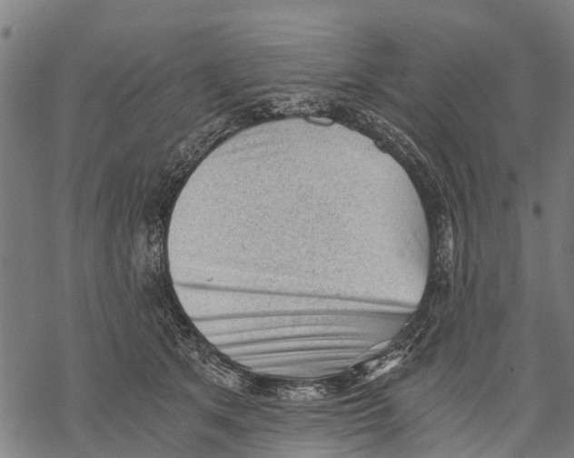 X0000068830513200605261619