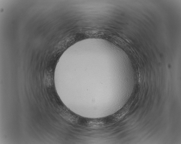 X0000068830515200605261619