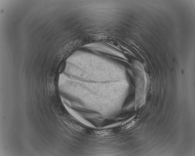 X0000068830516200605261619