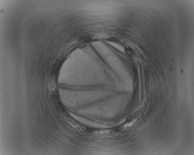 X0000068830517200605261619