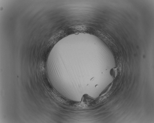 X0000068830518200605261619