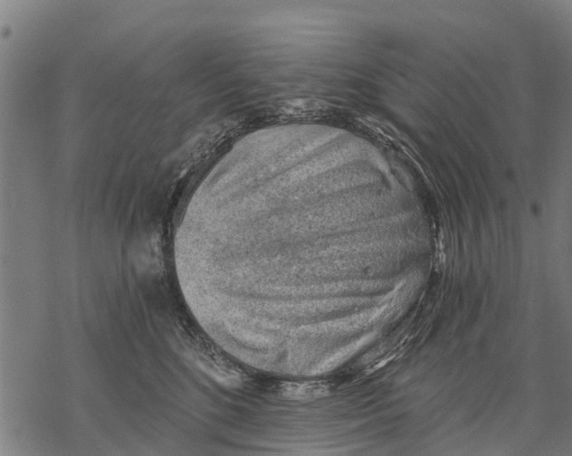 X0000068830520200605261619