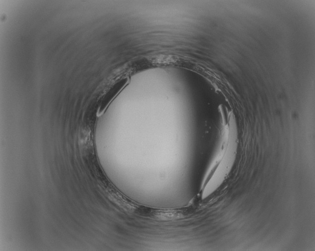 X0000068830521200605261619