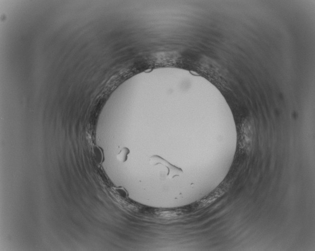 X0000068830522200605261619