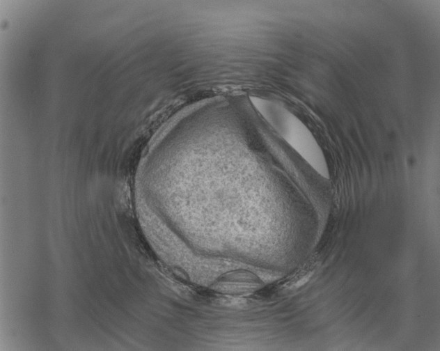 X0000068830523200605261619