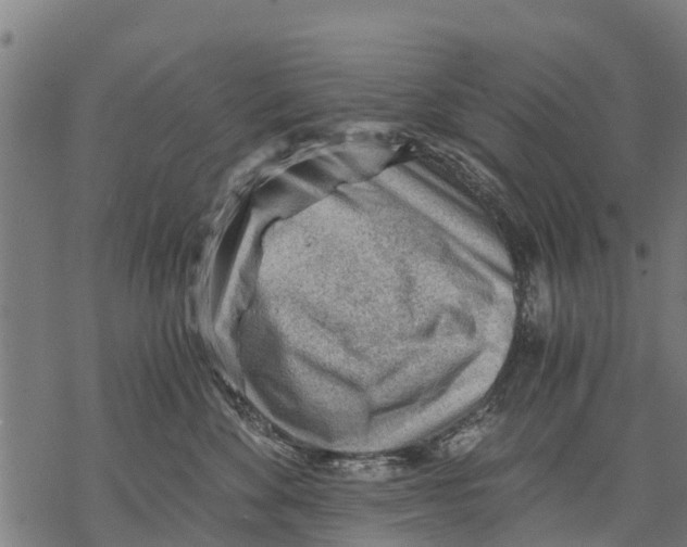 X0000068830524200605261619