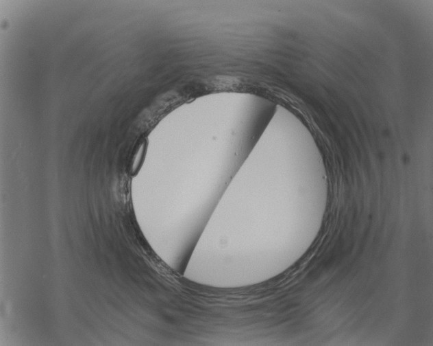 X0000068830525200605261619