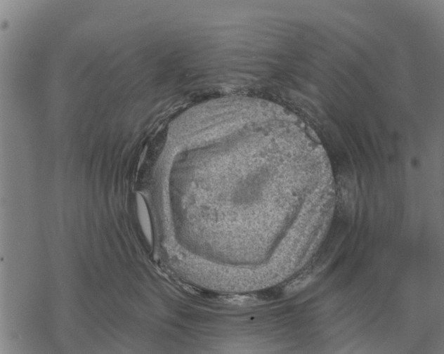 X0000068830527200605261619