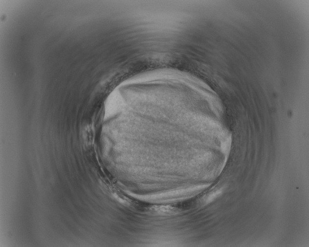 X0000068830528200605261619