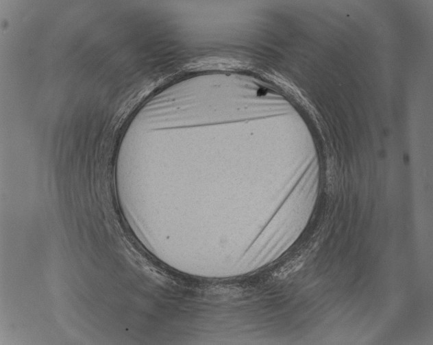 X0000068830529200605261618