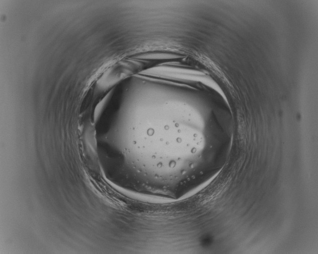 X0000068830530200605261618