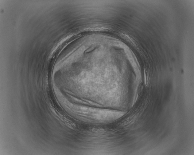 X0000068830531200605261618