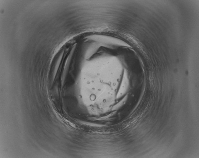 X0000068830532200605261618