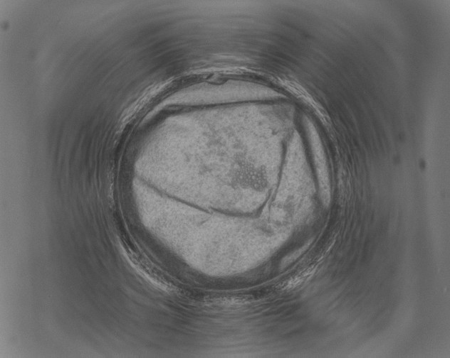 X0000068830533200605261618