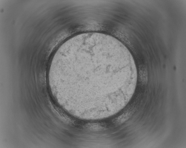 X0000068830534200605261618