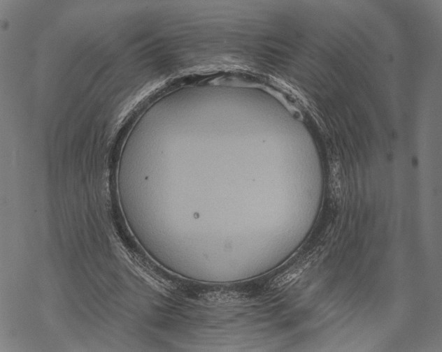 X0000068830535200605261618