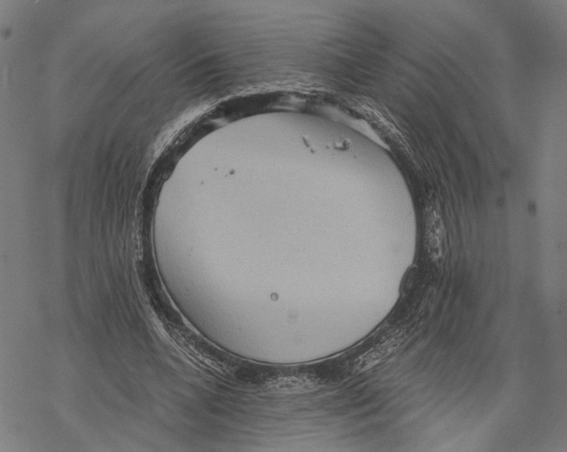 X0000068830536200605261618