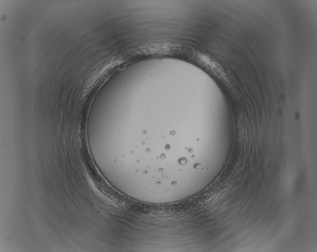 X0000068830538200605261618