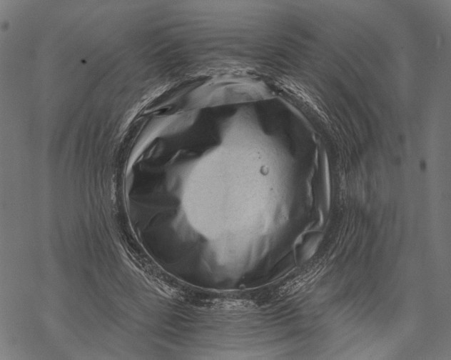 X0000068830539200605261618