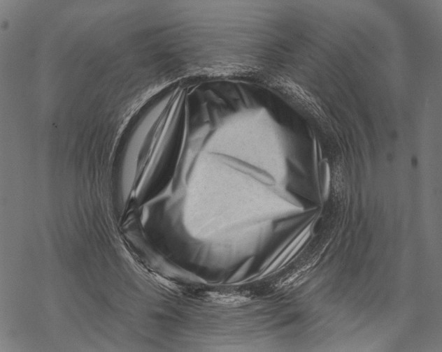 X0000068830540200605261618