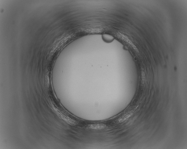 X0000068830541200605261618