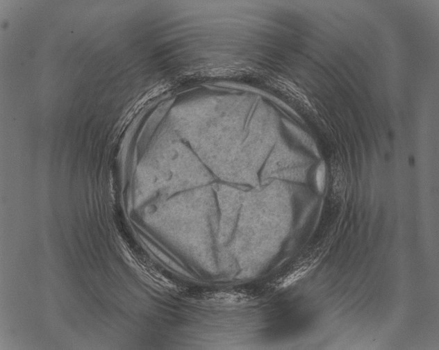 X0000068830542200605261618