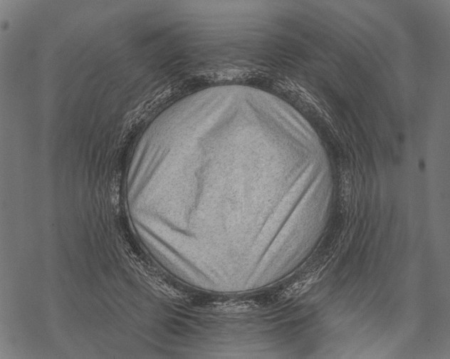 X0000068830545200605261618