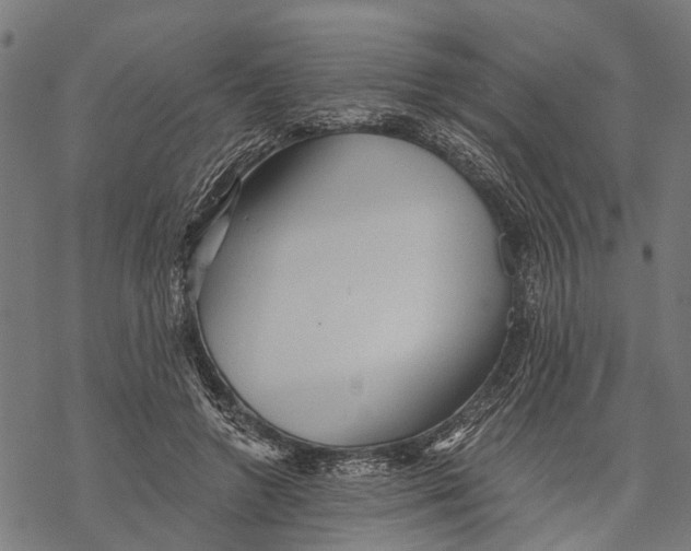 X0000068830546200605261618