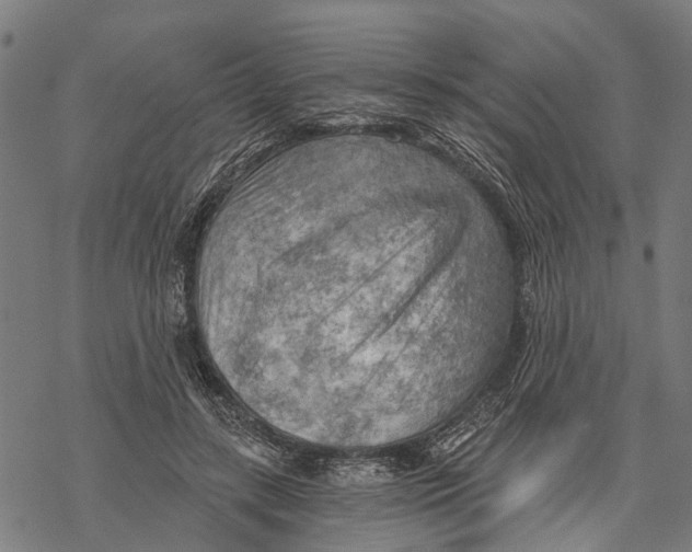 X0000068830547200605261618