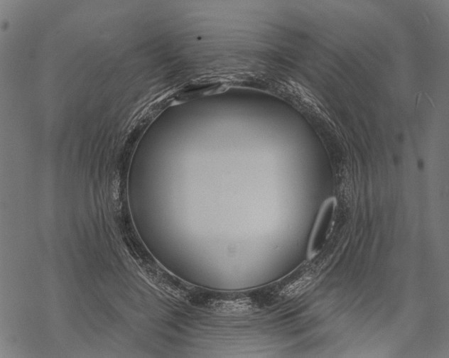 X0000068830548200605261618