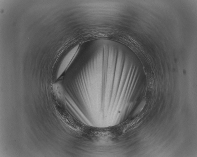 X0000068830552200605261618